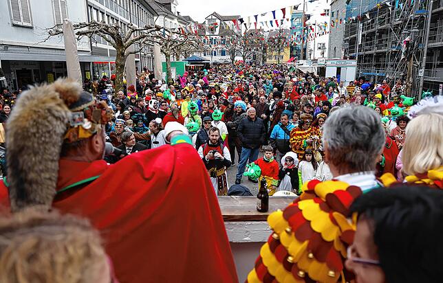 Bild 11: Bilder vom Fastnachtsumzug in Radolfzell (Teil 2)