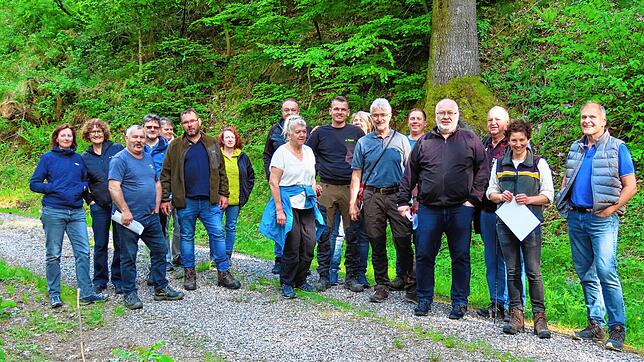 Die Mischung im Wald macht‘s: Stadtförsterin Swantje Schaubhut (rechts) zeigt bei der Waldbesichtigung des Wehrer Gemeinderates die ...