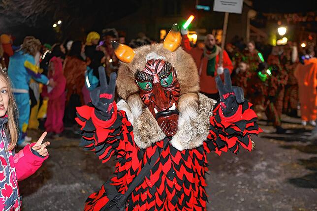 Bild 14: Nachtumzug Möggingen 2025: Fasnacht in Bildern – 30 Gruppen in voller Pracht