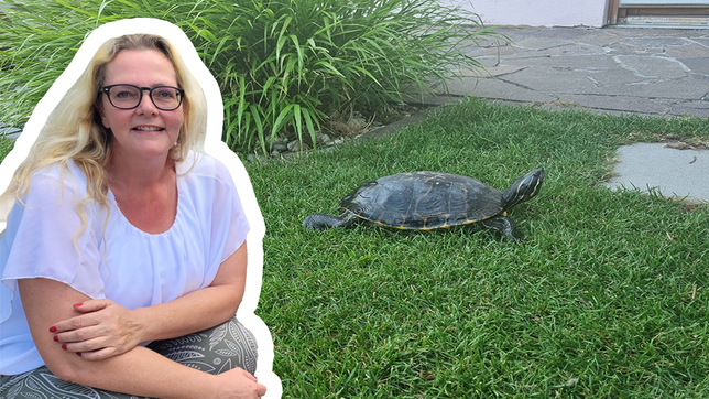 Julia Bierbach vom Tierheim Radolfzell war im Fall Olga nur kurz gefragt. Doch jetzt hat die Schildkröte, die eigentlich Morla heißt, ...