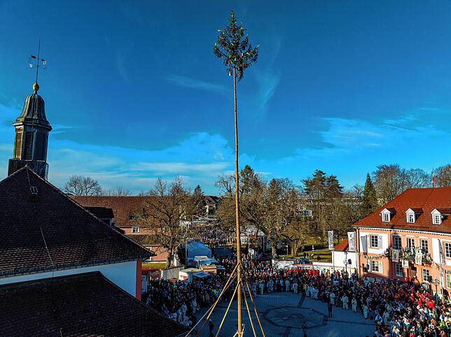 Bild 18: So wird der Narrenbaum am Samstag beim Narrentreffen in Bad Dürrheim aufgestellt!