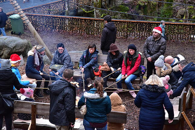 Bild 2: Bilder und Videos vom Triberger Weihnachtszauber: Showstars verbreiten gute Laune