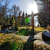 Gräber auf dem Radolfzeller Waldfriedhof. 2024 musste Radolfzell von mehreren bekannten und prägenden Persönlichkeiten Abschied nehmen.