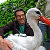 Martin Wikelski, Direktor am Konstanzer Max-Planck-Institut für Verhaltensbiologie, hat den Storch mit einem Transmitter ausgestattet.