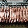 Halbierte Schweine hängen im Schlachthof. In der Debatte um Billigfleisch ist nach den Corona-Infektionen neu entbrannt.