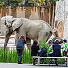 Besucher im Zoo Basel (Archivbild).