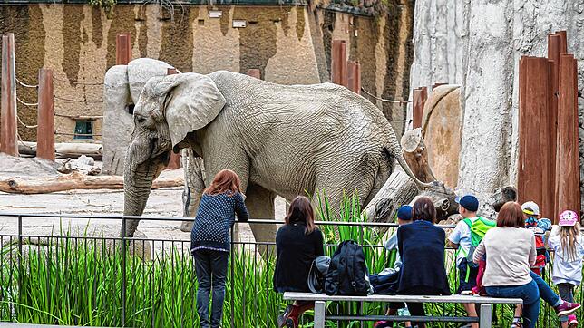 Besucher im Zoo Basel (Archivbild).