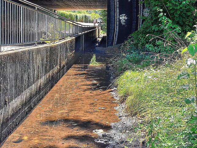 Bei der Unterführung der B518 sammelt sich noch Wasser. Ab hier führt der Bach bis zum Rhein aber kein Wasser mehr.