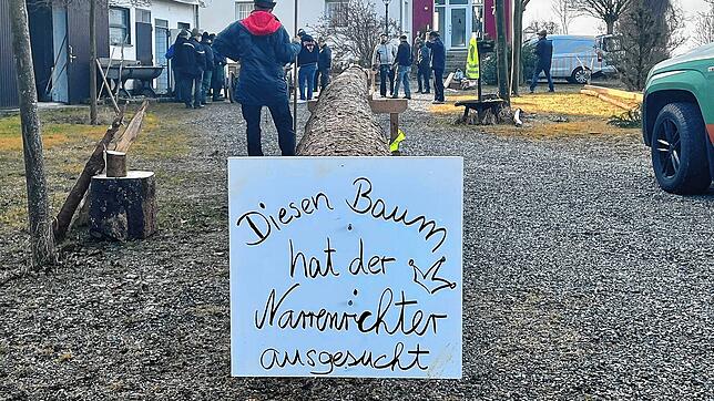 Die Zimmerer bereiten den Narrenbaum für Stockach vor.