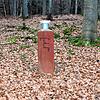 &bdquo;Ein Männlein steht im Walde, ganz still und stumm. Es hat von lauter Purpur ein Mäntlein um.&ldquo; In diesem Fall ist damit ...