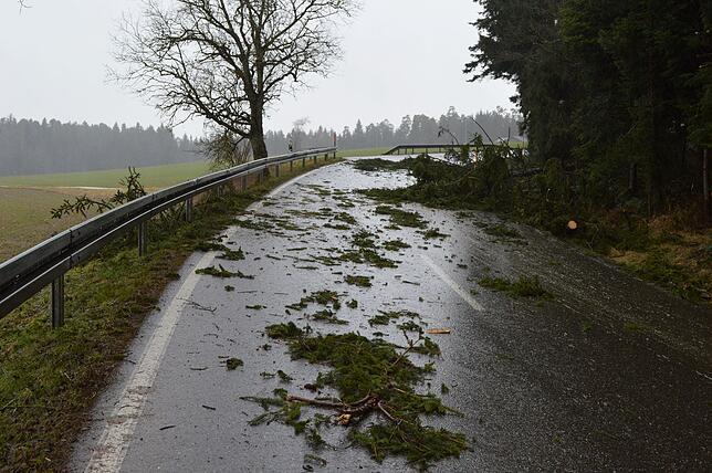 Mehrere umgestürzte Bäume sowie abgebrochene Äste blockieren die Straße von Weiler nach Burgberg.Sie muss bis zum Nachmittag gesperrt ...