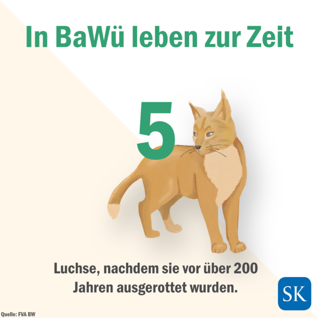 Bild 1: So viele Luchse gibt es in Baden-Württemberg - Übersicht