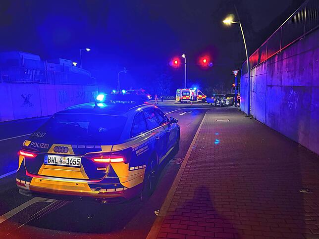 Im Streifenwagen der Polizei befinden sich zwei Hunde, die beruhigt werden und anschließend von Bekannten abgeholt werden.