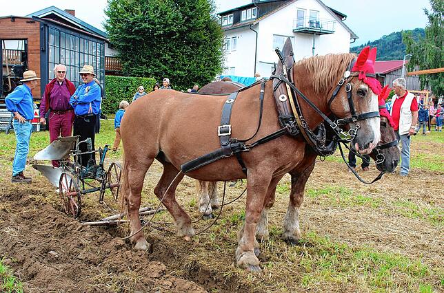 Bild 8: Festgottesdienst und Historische Marktgasse an der Sichelhenke in Bohlingen