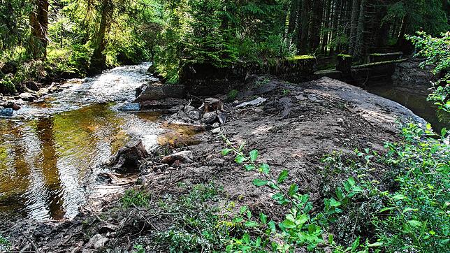 So sieht es am Schwarzenbächle nach der Baumaßnahme aus: Links fließt der Bach im natürlichen Gefälle ab, rechts befindet sich der ...