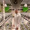 Umgeben von Cannabispflanzen: Marc Gass aus Villingen steht in den Anbauhallen des Schweizer Forschungs- und Produktionsunternehmens ...