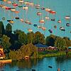 Der Seegarten von Allensbach und Boote, die an Bojen liegen: Allensbach liegt am Gnadensee und verfügt über ein ganz besonderes Flair. ...
