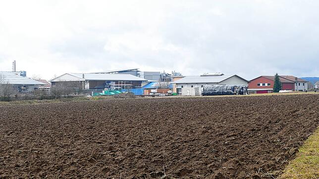 Die Erweiterung des Bonndorfer Gewerbegebiets Im Breitenfeld IV im ersten Bauabschnitt (vorn im Bild) soll trotz voraussichtlicher ...