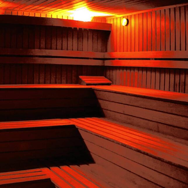 Der Club verfügt auch über eine Biolicht-Sauna.