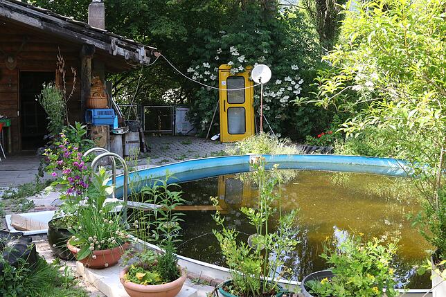 Der Swimmingpool ist jetzt ein Biotop. Kleine Frösche, Kröten und andere Amphibien haben den Pool kurzerhand in Beschlag genommen. ...