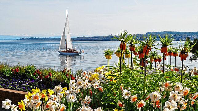 Die schönste und längste Promenade am Bodensee.