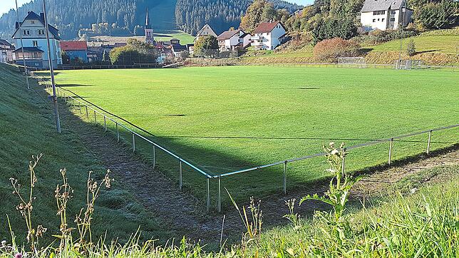 Obwohl der Sportplatz nicht zusätzlich beregnet wurde, erstrahlt er in saftigem Grün. Offensichtlich hat der morgendliche Tau dem Rasen ...