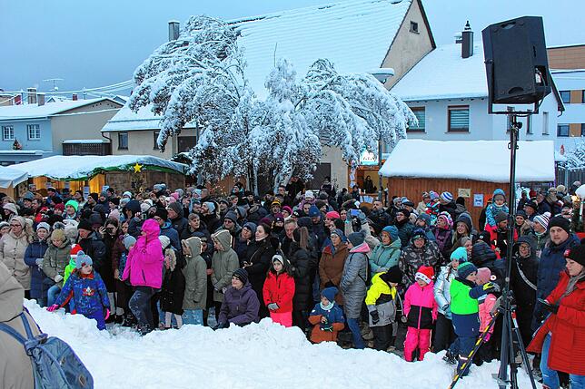 Bild 9: Winterlicher Weihnachtsmarkt in Immendingen