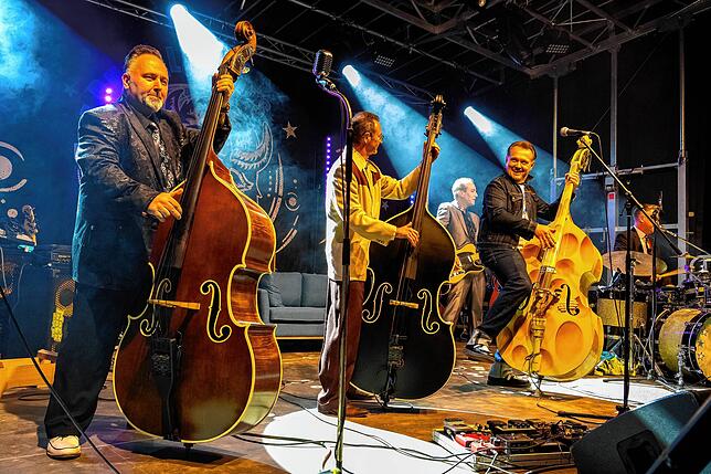 Bild 22: The Buffalo Chips beim Schwenninger Kürbisfest
