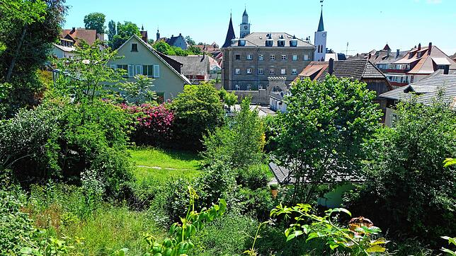 Blick über die Fischerhäuservorstadt mit dem Mezger-Atelier und dem alten badischen Gefängnis.