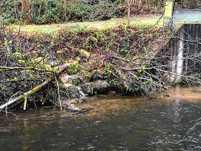 Am Auslauf des Stausees, direkt unterhalb des Betonwerks des Notauslaufs bei der Brücke: Ein Biber hat über´s Wochenende einen Baum gefällt.