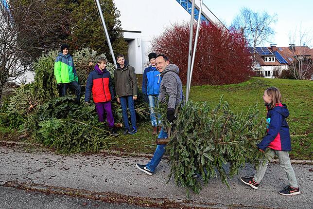 Schülerinnen und Schüler sammeln in Mönchsweiler Weihnachtsbäume ein.