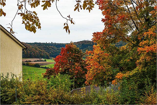 Bild 14: So schön ist der goldene Oktober: Leserreporter zeigen ihre schönsten Herbst-Impressionen