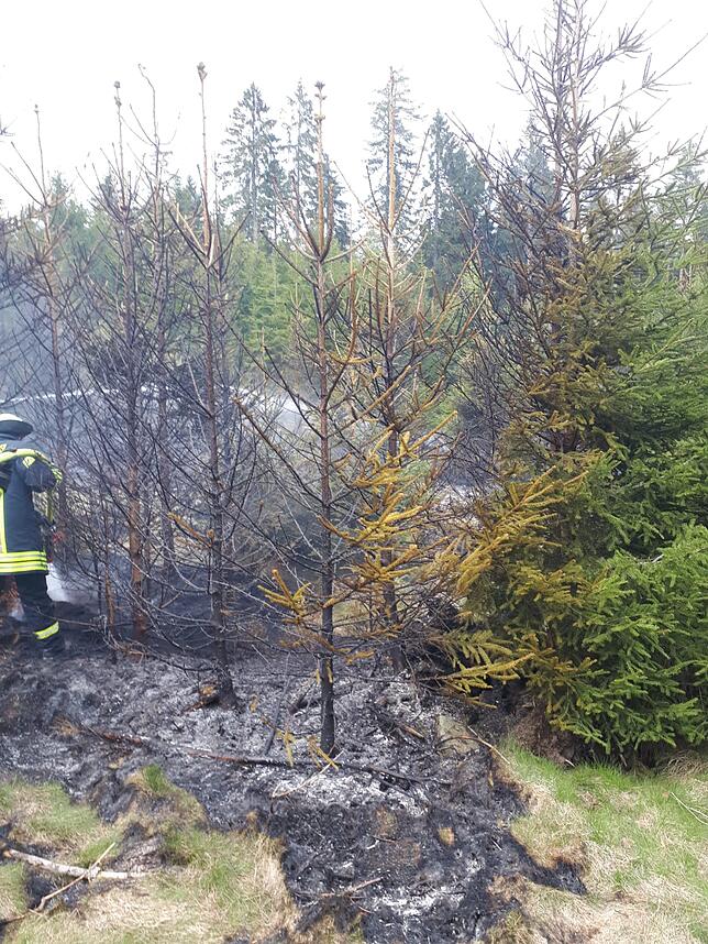 Das Feuer im Wald bei Hubertshofen hat schnell um sich gegriffen.
