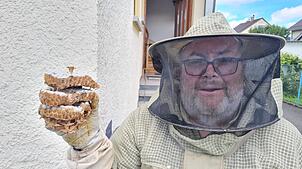 Schädlingsbekämpfer Achim Vogt mit einem Hornissennest. Meist hat er jedoch mit Wespen zu tun. Im Sommer kommen etwa 80 Prozent der ...