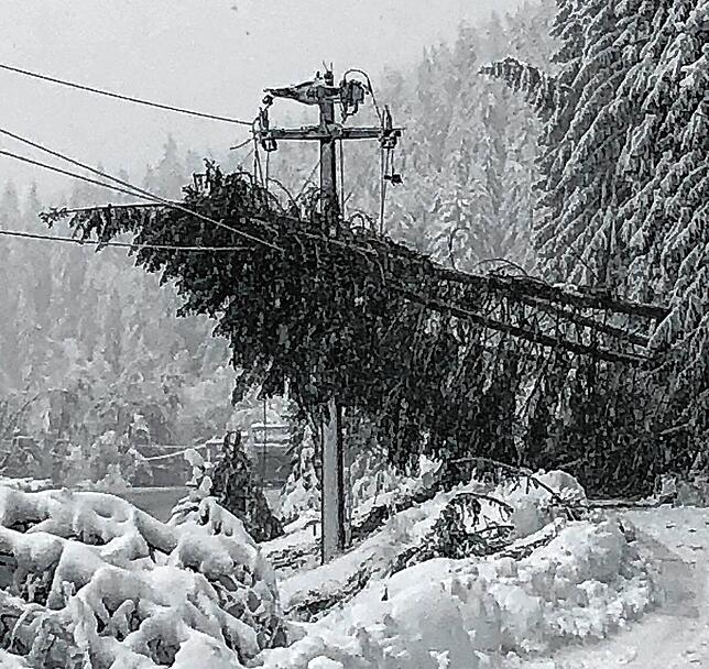 Zu Schneebruch (abgebrochene Äste oder Bäume durch Schneelasten) kam es an vielen Orten am Freitag in den Landkreisen Waldshut und ...