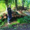 Brennholz wird immer beliebter. Das Kreisforstamt stellt einen Teil ihres gefällten Holzes zum Verkauf bereit. Im Bild: Forstbeamter ...