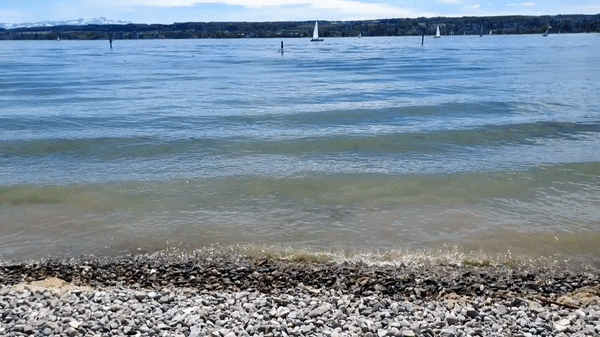 Bild : Sommerwetter in Konstanz schon wieder vorbei: Hier gibt es die schönsten Bilder und Videos vom Wochenende zum Träumen