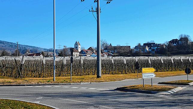 Das Baugebiet Klosteröschle liegt im Süden von Bergheim. Auf einer rund drei Hektar großen Fläche soll ein neues Wohnquartier entstehen.