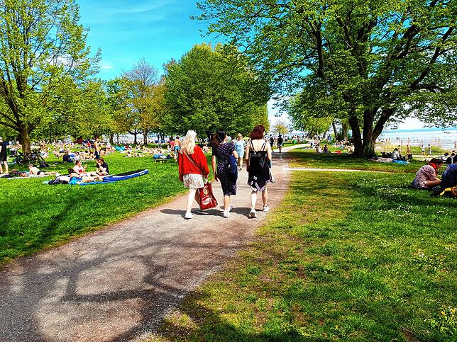 Und dann bietet Konstanz als einzige Stadt am See auch noch kostenlose Strandbäder. Hier am Hörnle kann man die ganzen Sommerferien ...