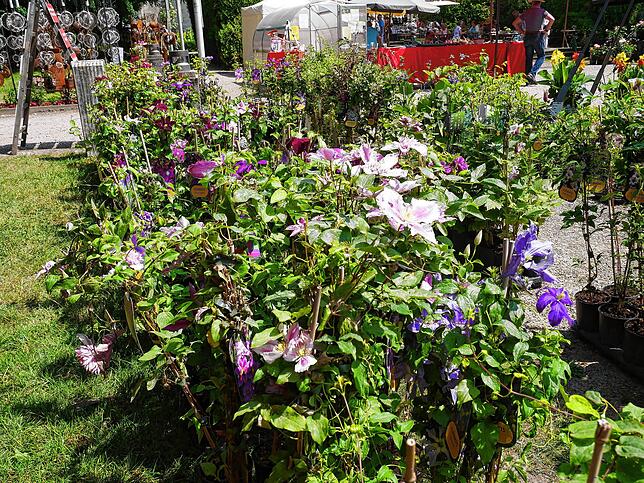 Impressionen von der Gartenlust-Ausstellung im Park von Schloss Schönau