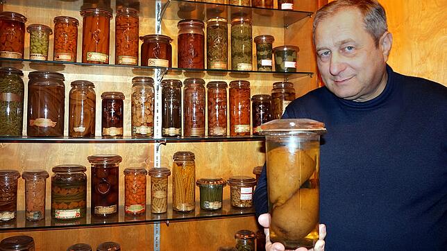 Gläser, die Geschichten erzählen: Eberhard Hackelsberger, Chef der Öflinger Firma Weck, vor einem Schrank mit Eingekochtem, die Gläser ...