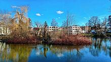 Der Baumbestand auf der Insel im Stadtsee hat unter den Stürmen gelitten.