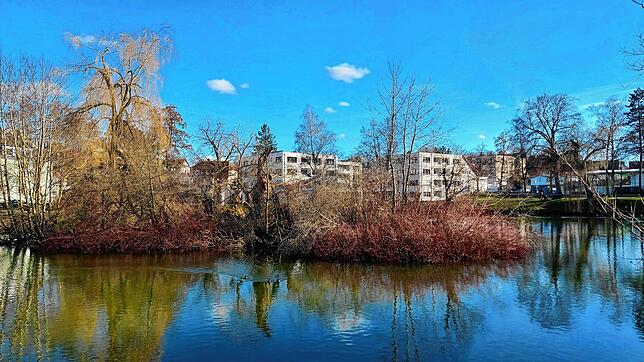 Der Baumbestand auf der Insel im Stadtsee hat unter den Stürmen gelitten.
