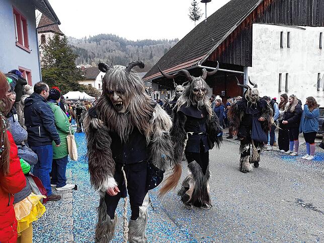Bild 41: Die schönsten Bilder vom großen Habufa-Umzug in Hasel (2)