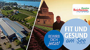 Abgeschlossen: Der Weg des Gemüses von der Insel Reichenau