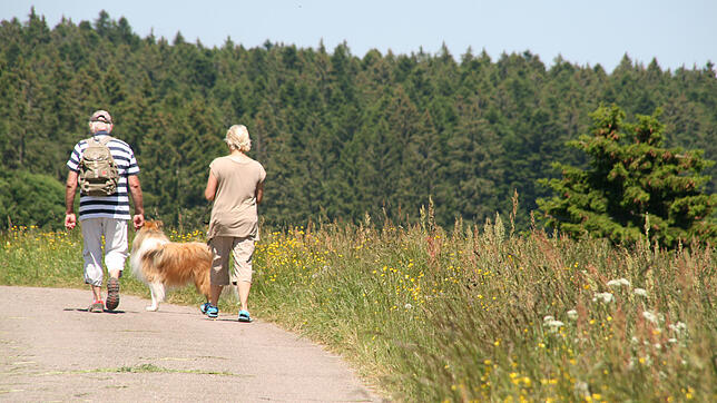 Wanderer auf dem Weg von der Gugel: Der Wandertourismus im Hotzenwald ist zwar angesagt, aber die Übernachtungen sind zurück gegangen.