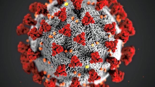 Die Illustration eines Coronavirus &ndash; wann verschwindet es aus unserem Alltag?