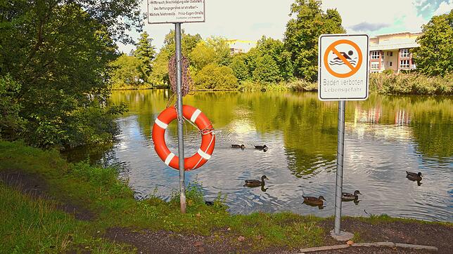 An sich ist der Villinger Eisweiher an der Waldstraße ein Idyll. Nun tauchen dort aber immer öfters Ratten auf, wie ein Anwohner berichtet.