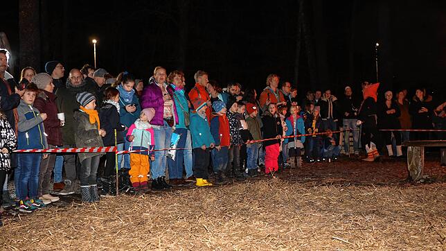 Bild 24: Konstanzer Fasnacht: Im Uniwald tanzen Narren und Mäschgerle am Feuer