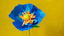 Blumen aus Krepppapier basteln - eine nachhaltige Idee und ideal für Allergiker.